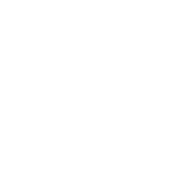 side menu item icon
